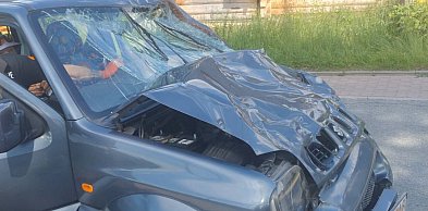 Spłoszony koń wpadł na samochód w Murzasichlu. Jedna osoba ranna