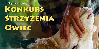 1. Międzynarodowy Konkurs Strzyżenia Owiec w Ludźmierzu. Zapisy do 12 lipca