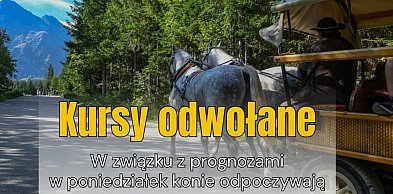 Jutro, w poniedziałek konie z Morskiego Oka dalej odpoczywają