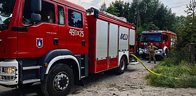 Strażacy z pomocą schronisku w Nowym Targu. W upale schładzali psie kojce