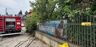 Główny Lekarz Weterynarii sprawdza  nadzór nad schroniskiem