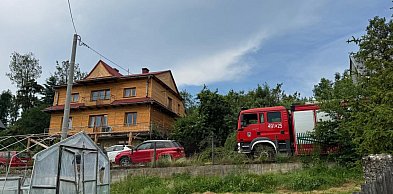 Życie zwierzaków nie jest zagrożone - twierdzi nowotarskiego schronisko