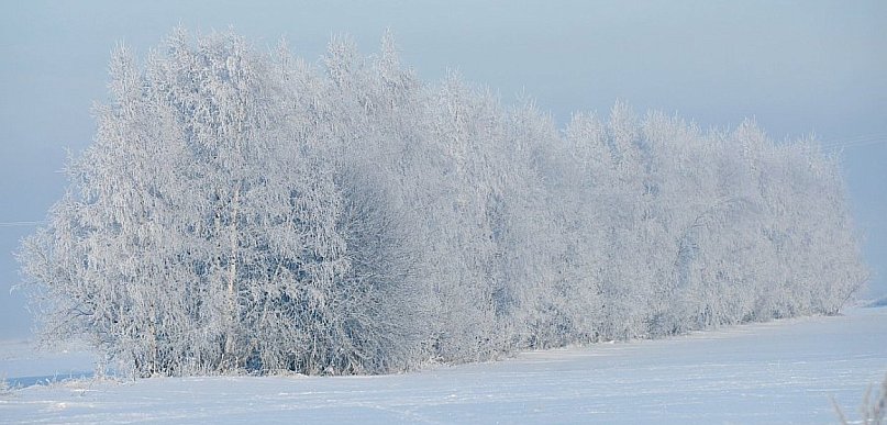 Cotygodniowy przegląd fotograficzny Tygodnika Podhalańskiego