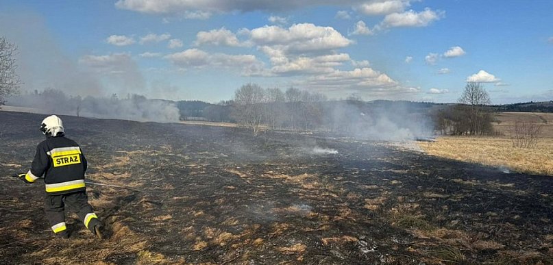 Na Orawie znów płonęły trawy