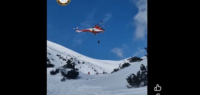 Tak szkoliły się toprowskie psy lawinowe (WIDEO)