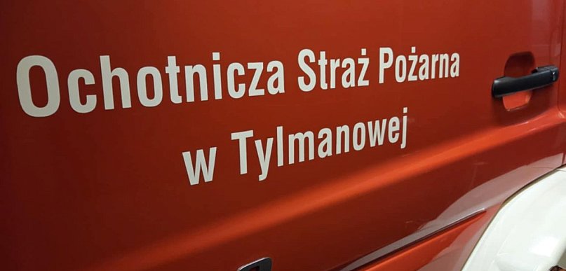 Druhowie usuwali gniazdo szerszeni