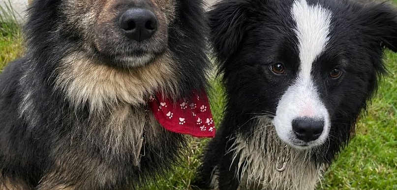 To była nietypowa i daleka wycieczka