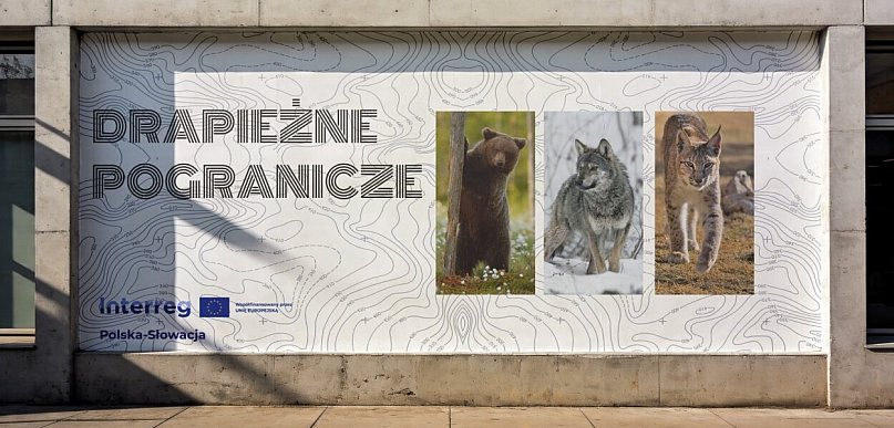 Poszukiwane miejsce na mural z drapieżnymi zwierzętami